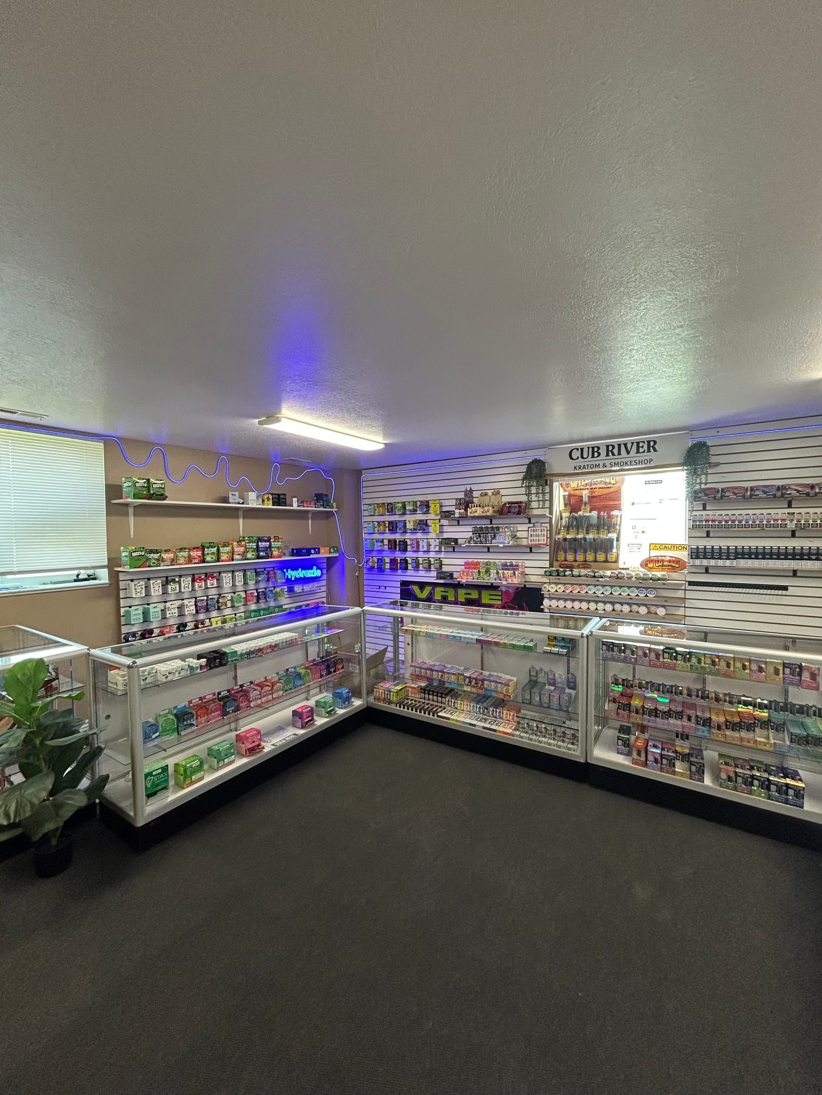 Inside Cub River Kratom & Vape Shop: neon VAPE sign, glass display cases, and stocked product wall