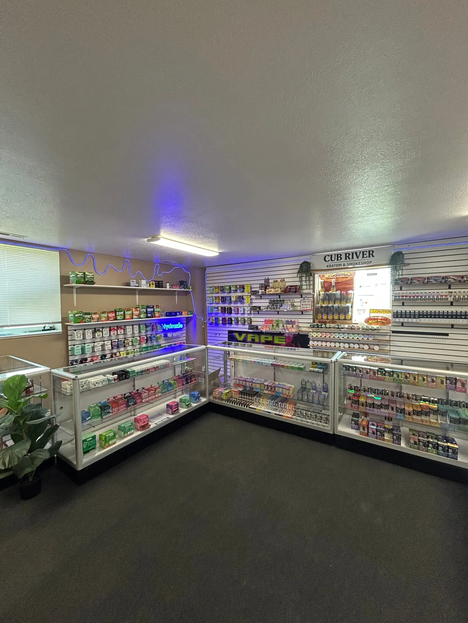 Inside Cub River with neon VAPE sign, display cases, and a stocked product wall